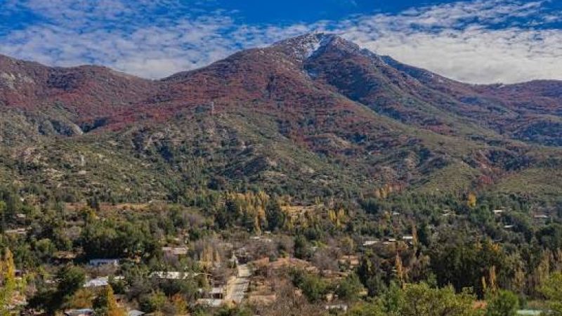 Caleu